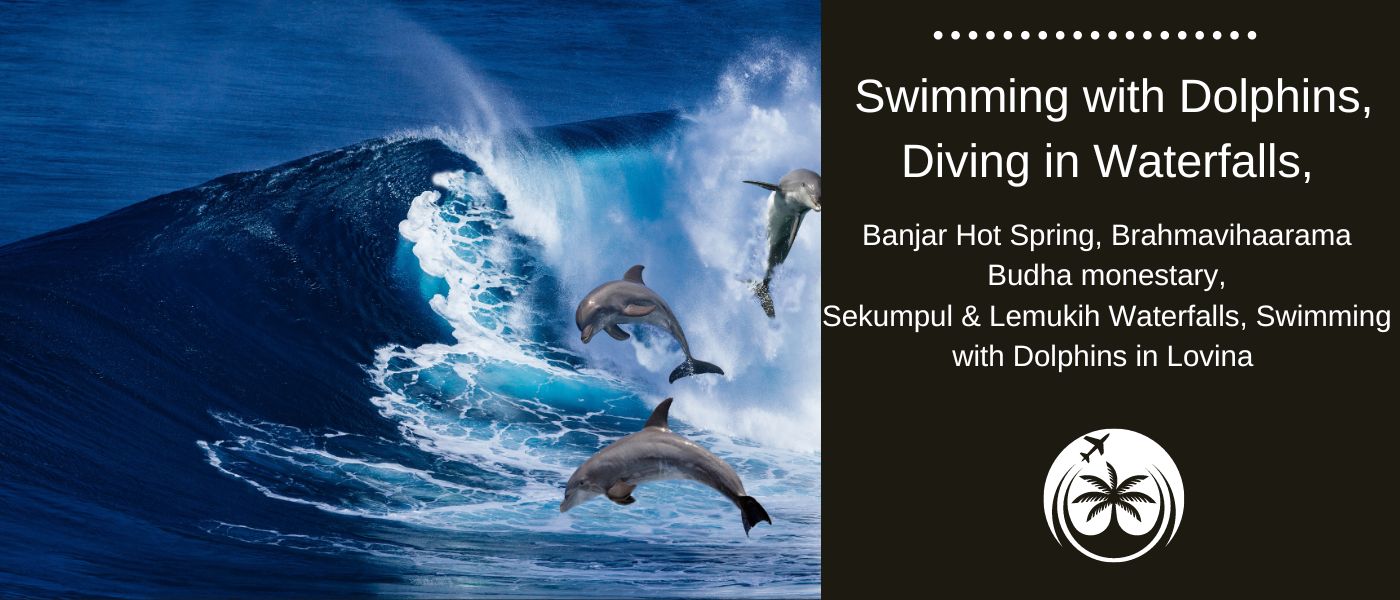 Dolphins, Waterfalls and Hot Springs